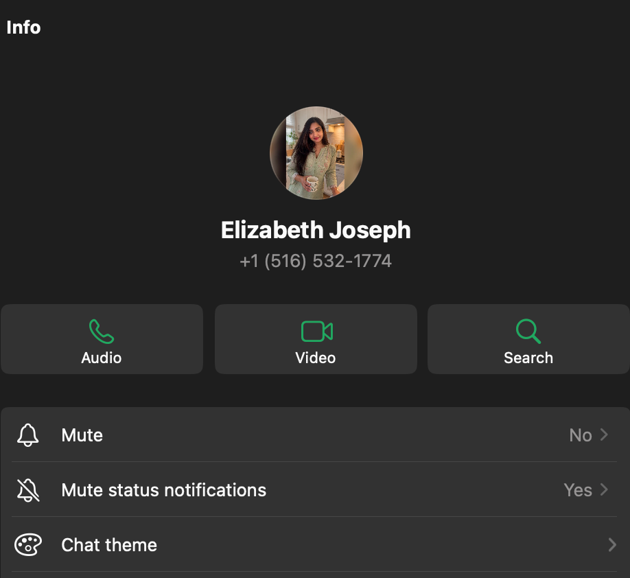 A dark smartphone app interface showing a contact profile for Elizabeth Joseph with phone number, three action buttons labeled Audio, Video, and Search, and a list of settings including Mute, Mute status notifications, Chat theme, and Save to Downloads.